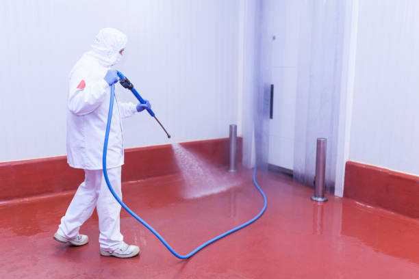 Professional Pressure Washing Services in Lansing, IL